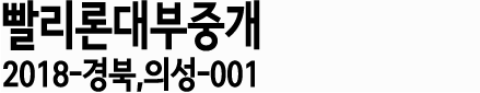 빨리론대부중개 2018-경북의성-001