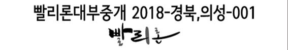 빨리론대부중개 2018-경북의성-001